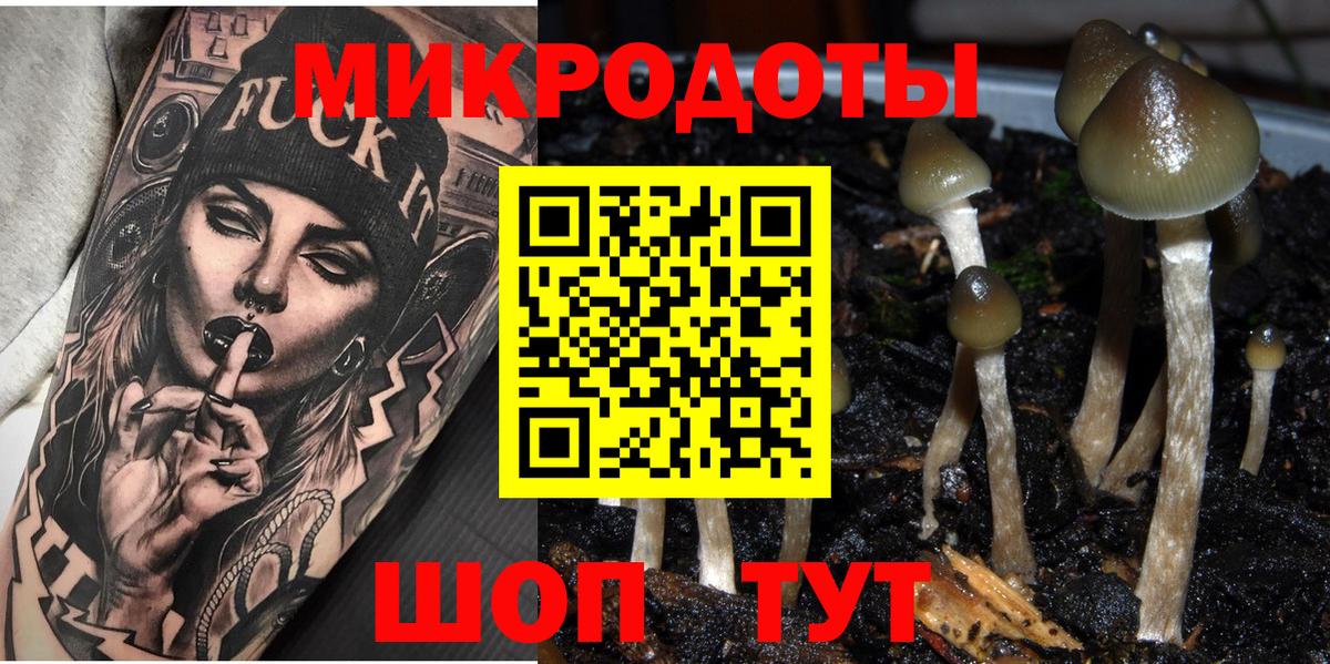 Галлюциногенные грибы ЛСД  Псилоцибиновые грибы ЛСД  где купить наркоту  Клинцы  Вход с VPN 