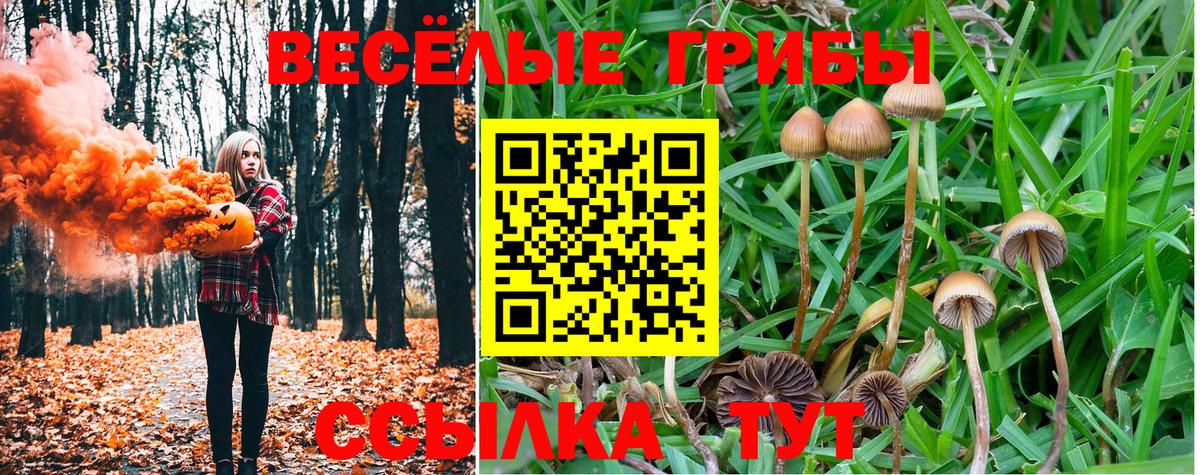 Галлюциногенные грибы прущие грибы Клинцы